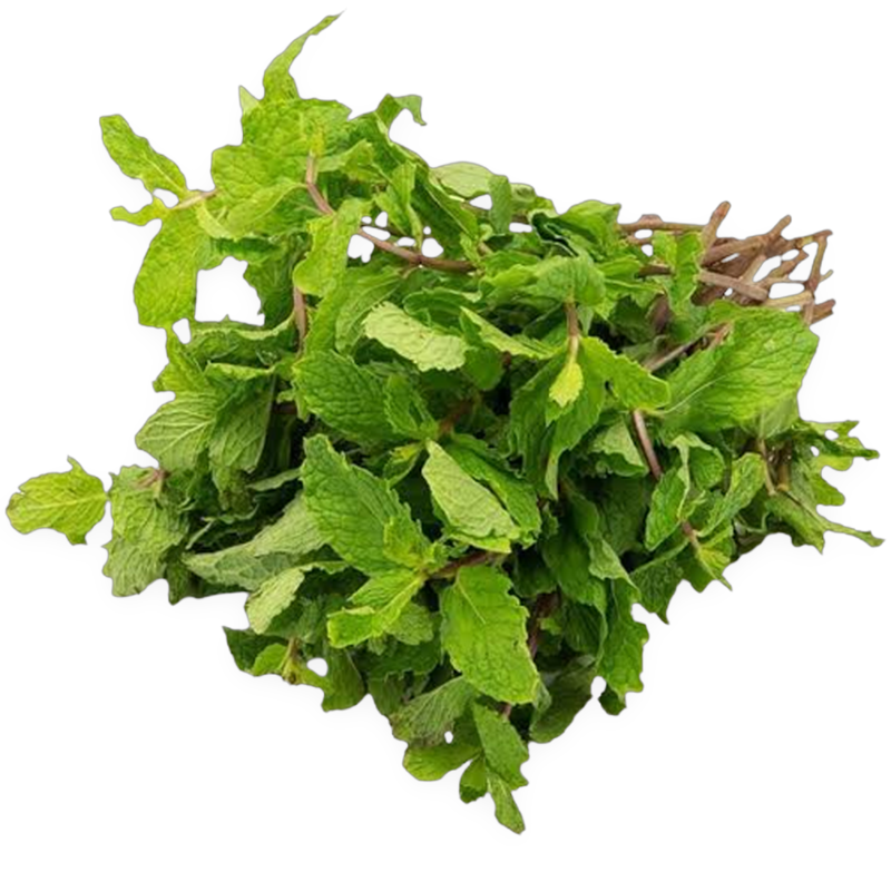 Mint Leaves