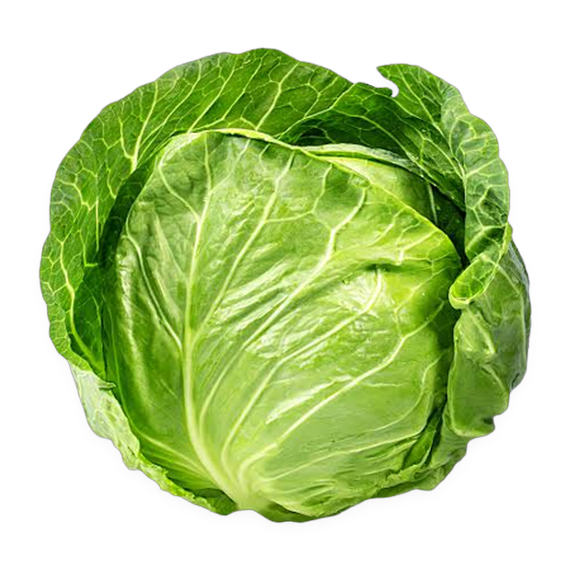 Cabbage
