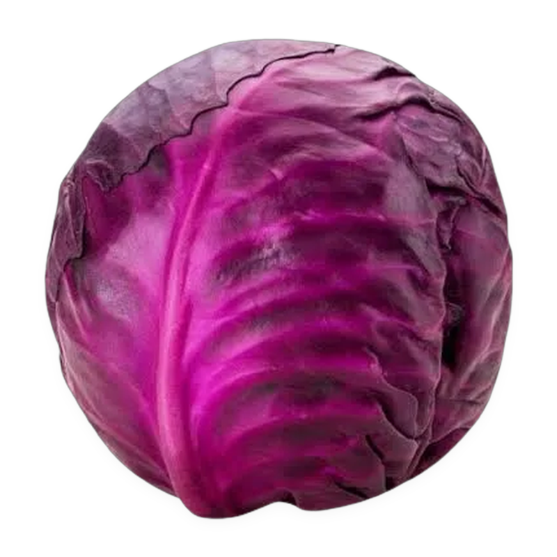Red Cabbage