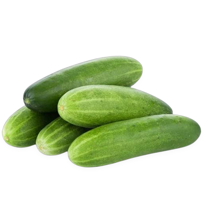 Cucumber