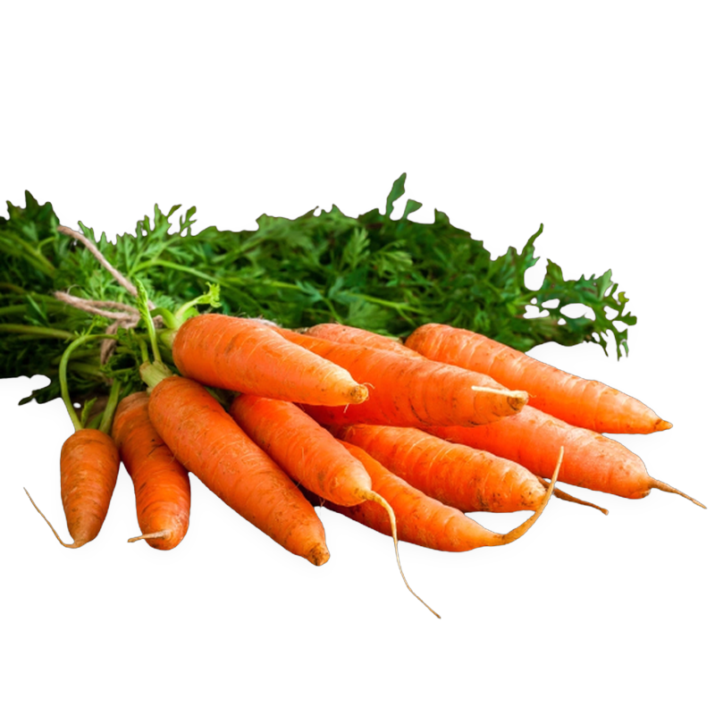 Carrots