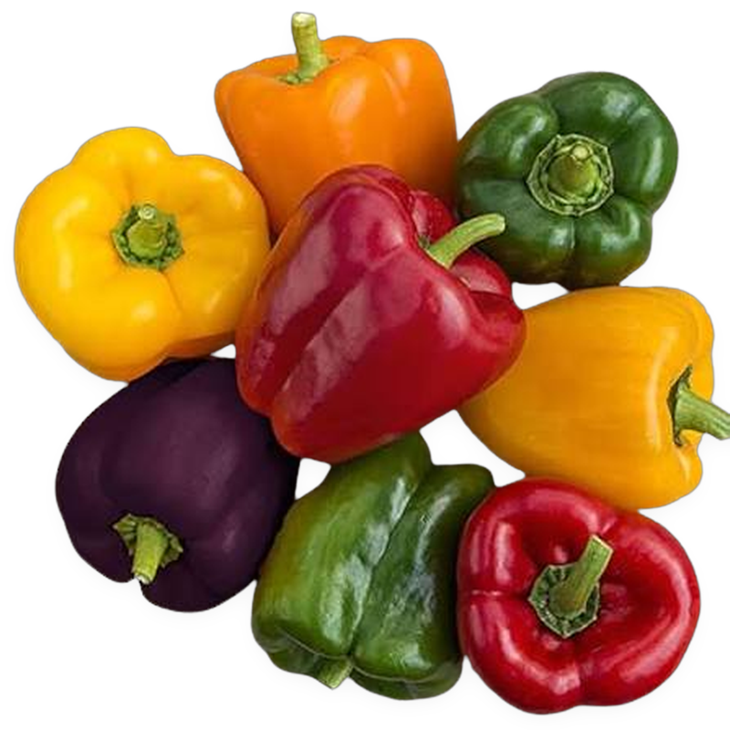 Mixed Bell Pepper 1kg