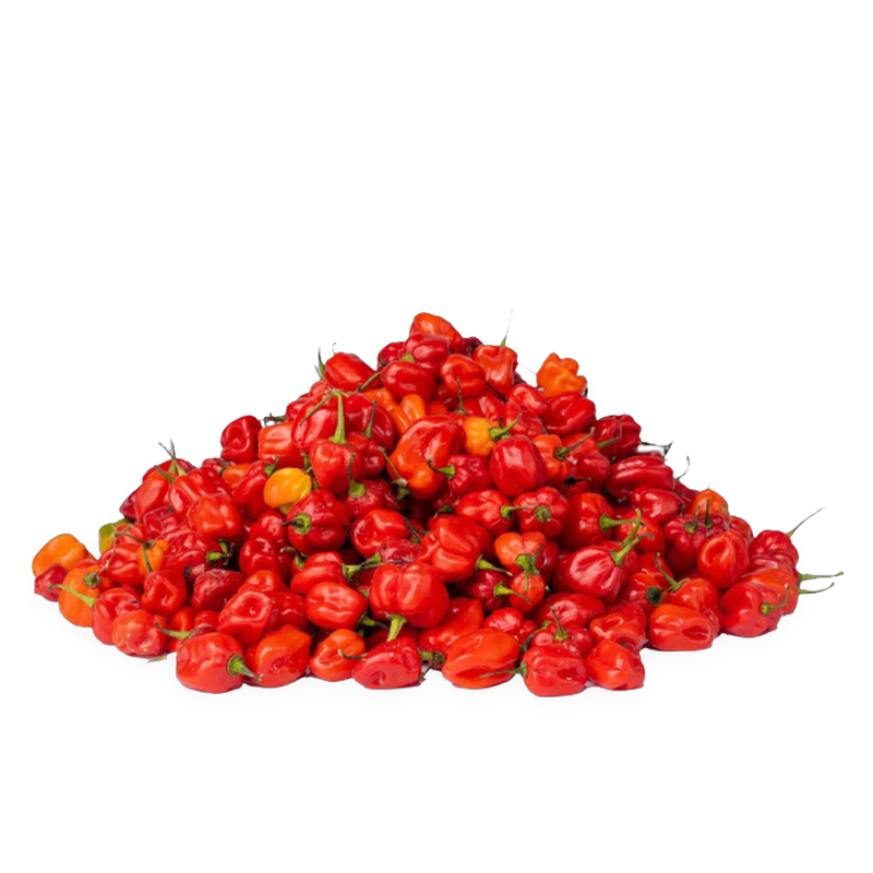 Red hot rodo Pepper