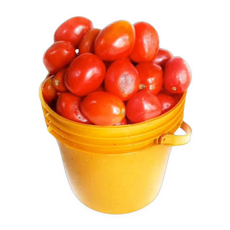 Fresh Tomatoes