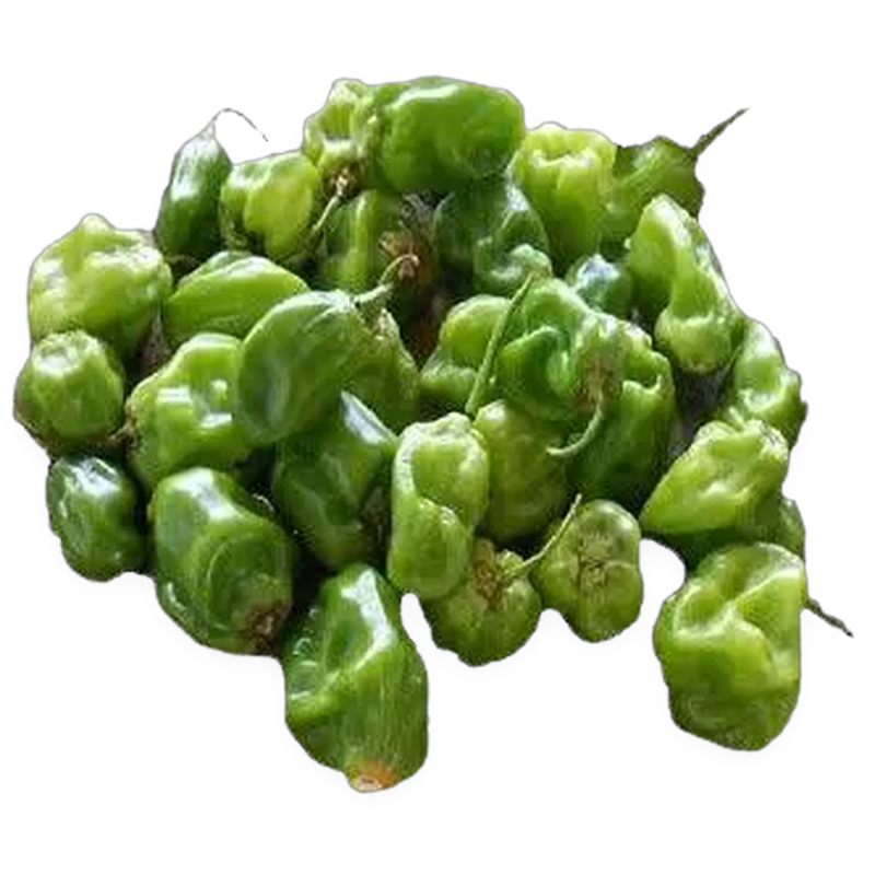 Rodo Pepper