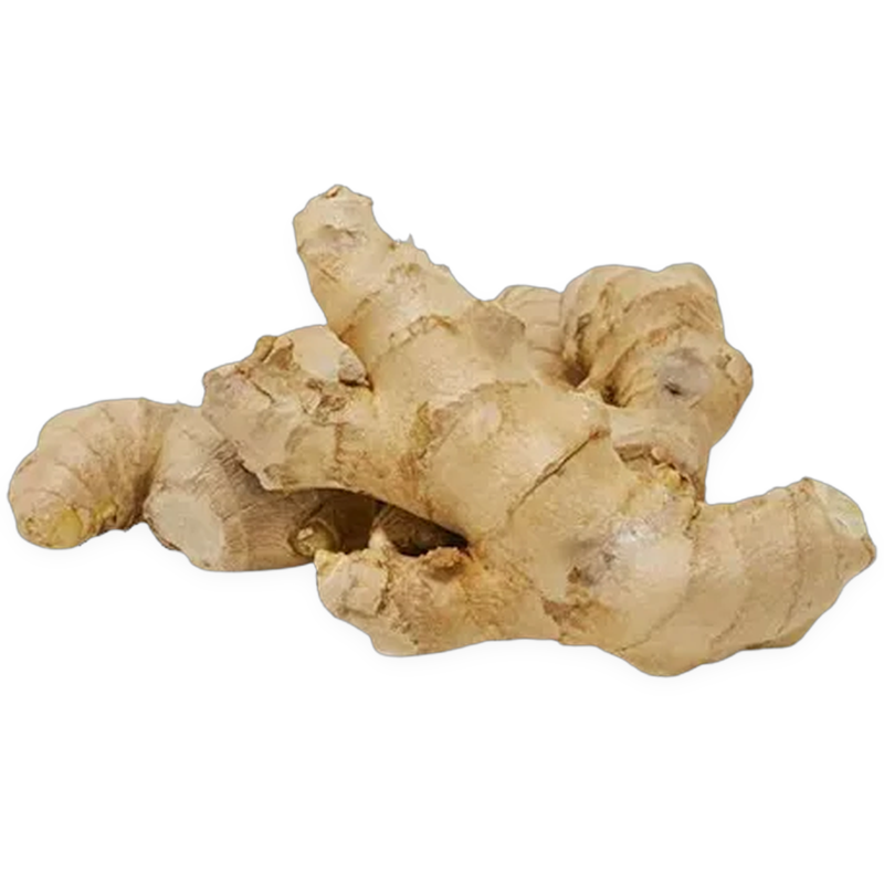 Ginger