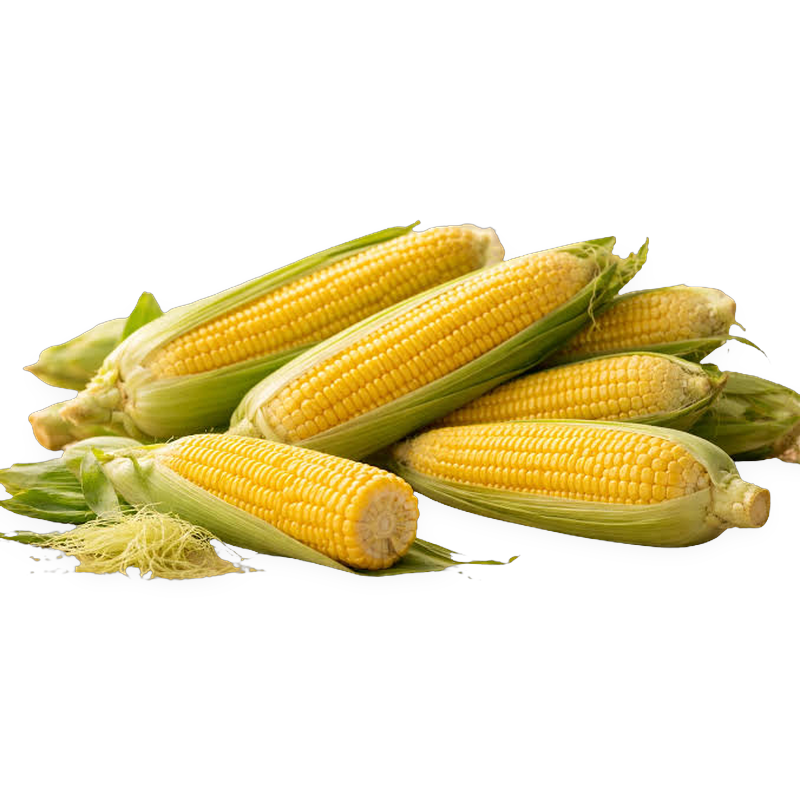 Sweet Corn