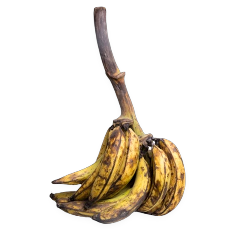 Ripe Plantain Bunch
