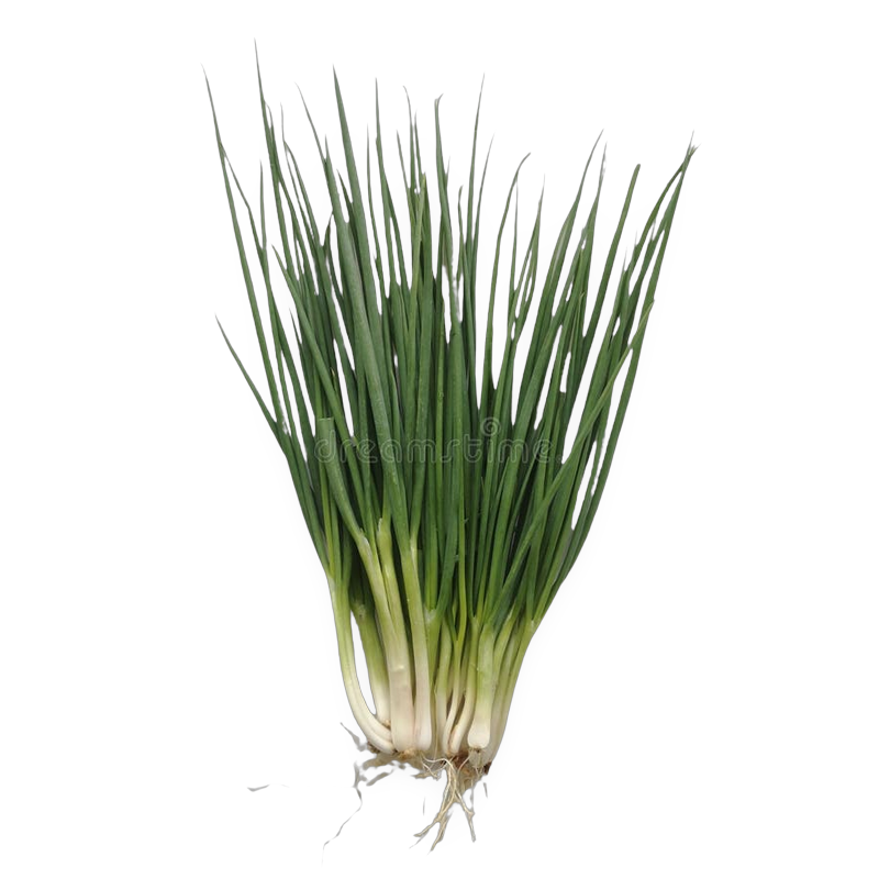 Fresh Spring Onions